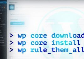 WP-CLI: Der große Leitfaden zur WordPress-Kommandozeile
